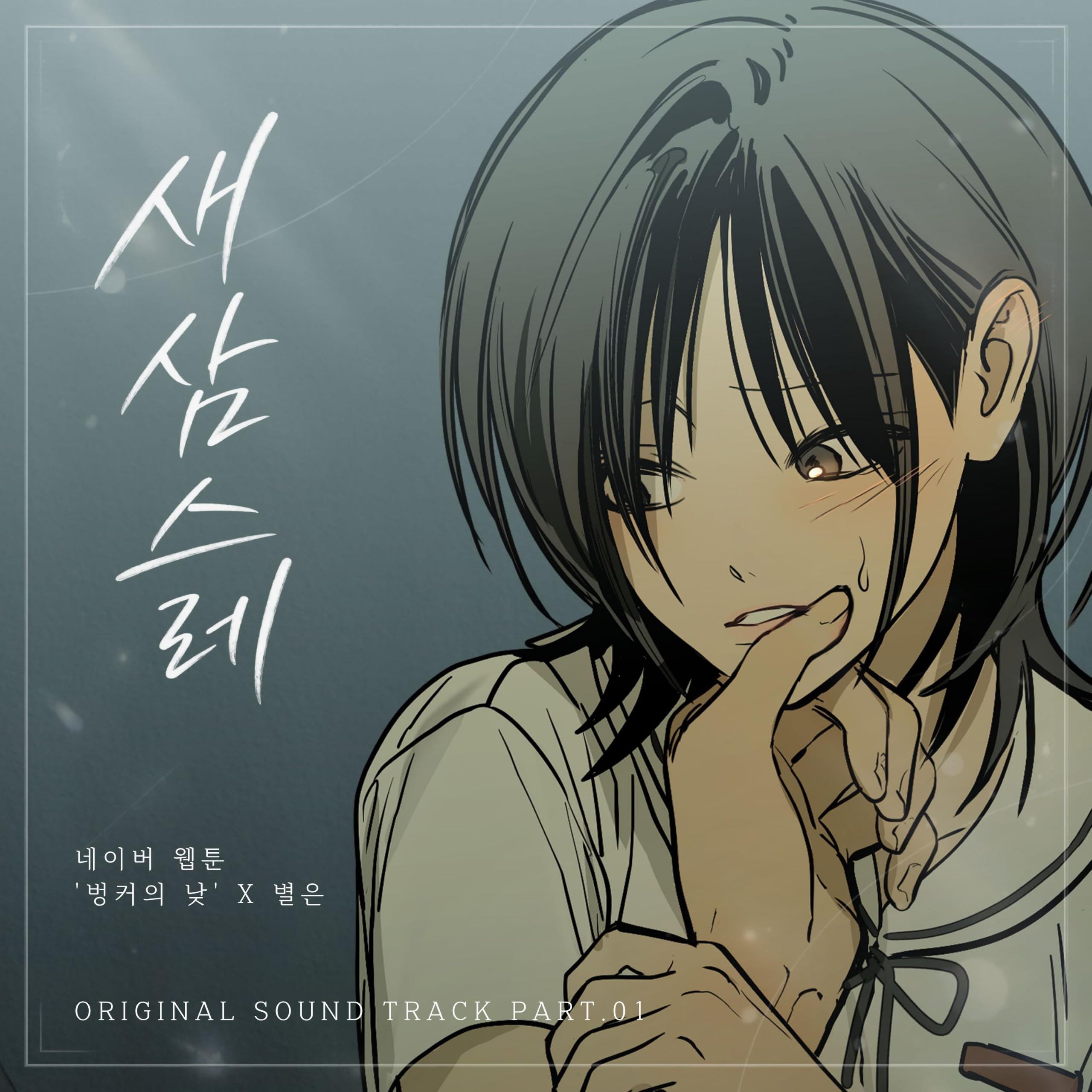 Image Cover